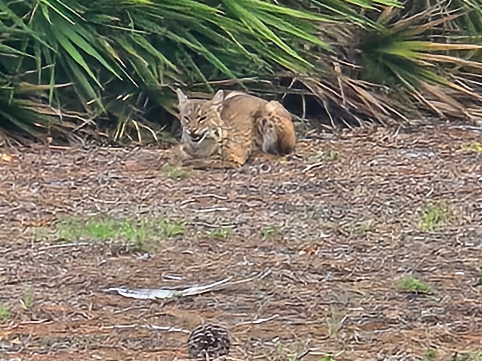 23465 Harborview Road #225 Punta Gorda FL 33980 - PEACE RIVER C7514204 image76