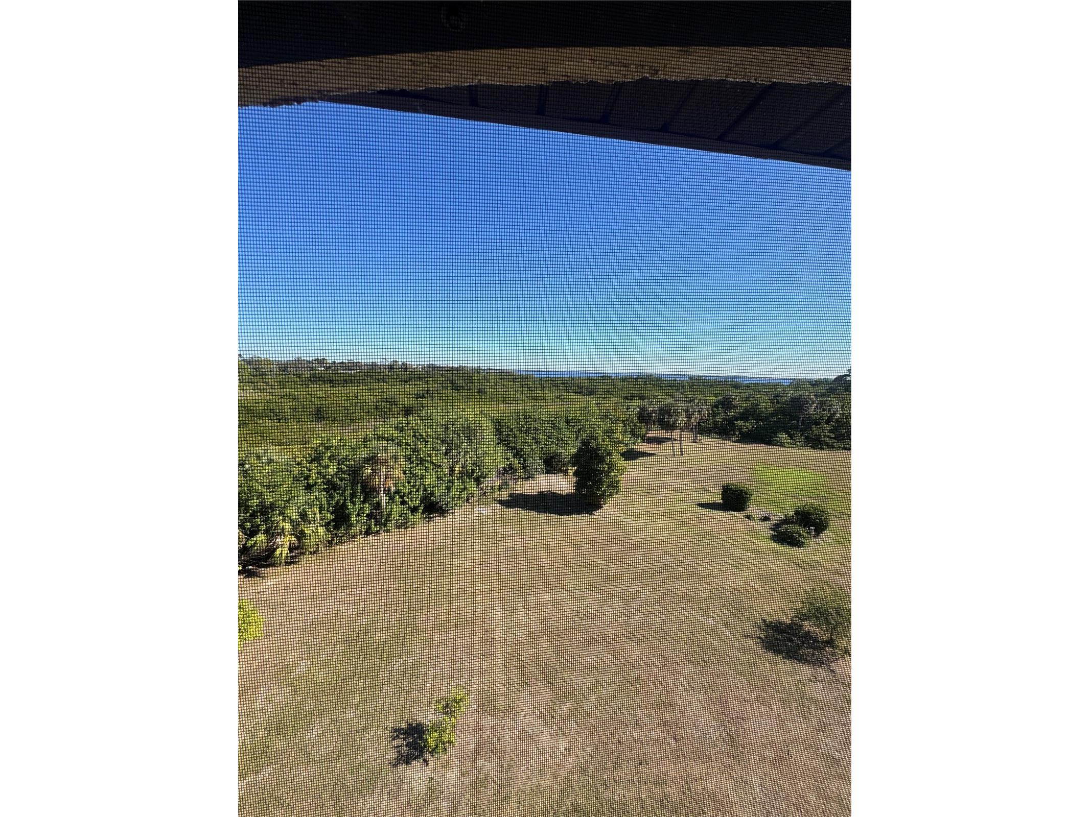 23465 Harborview Road #244 Punta Gorda FL 33980 P4937393 image34