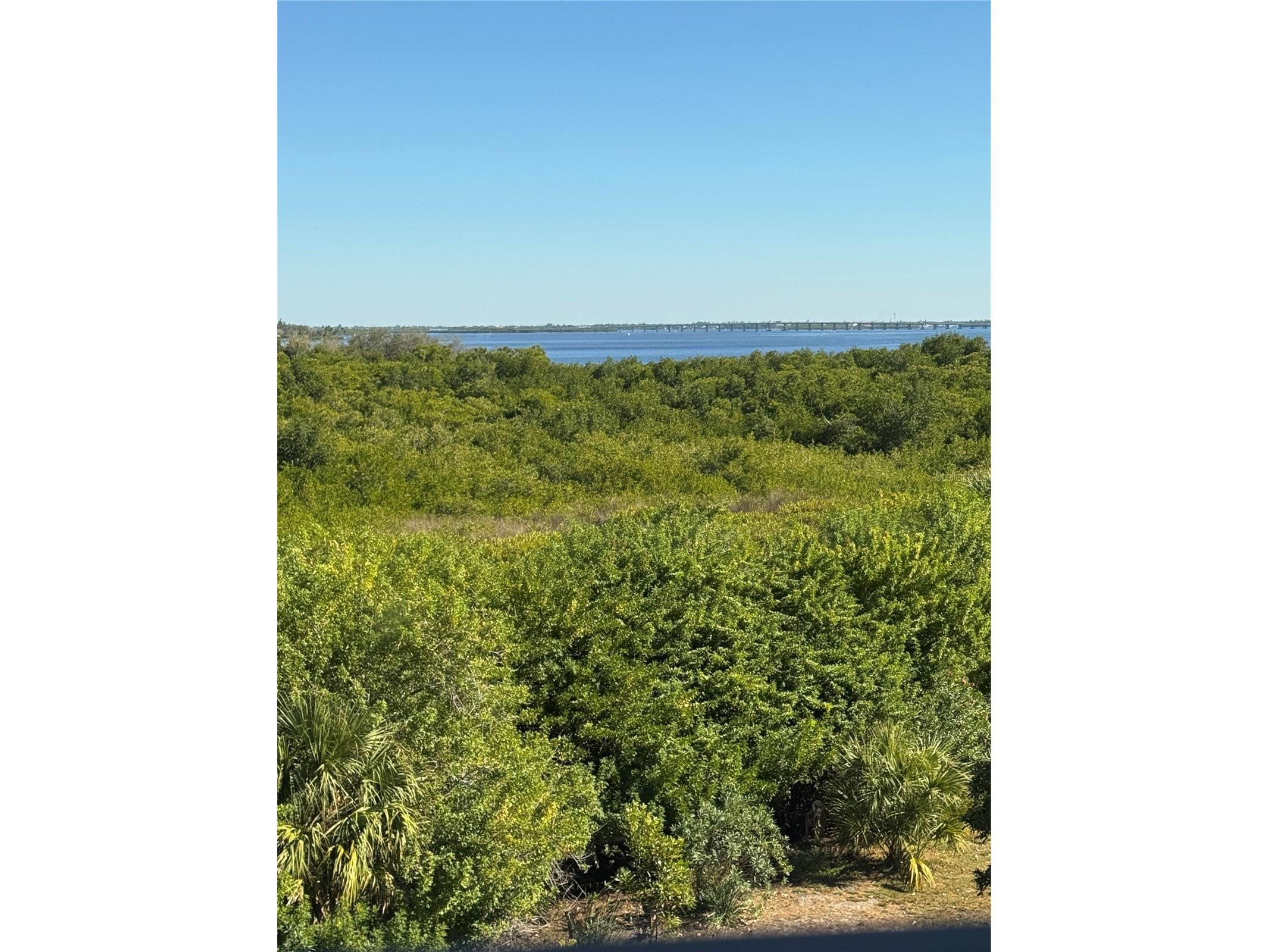 23465 Harborview Road #244 Punta Gorda FL 33980 P4937393 image52
