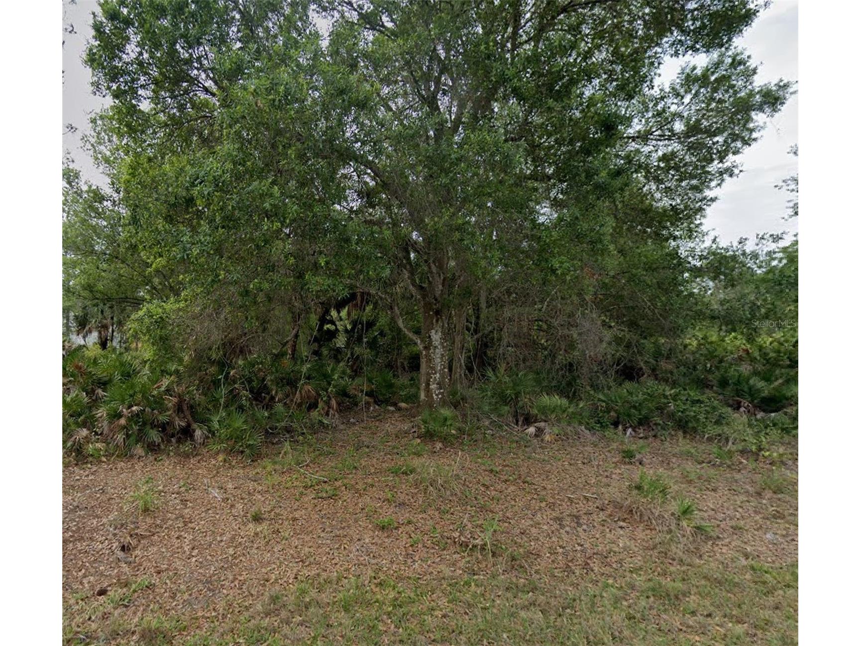 23469 Winthrob Avenue Punta Gorda FL 33980 C7521083 image1