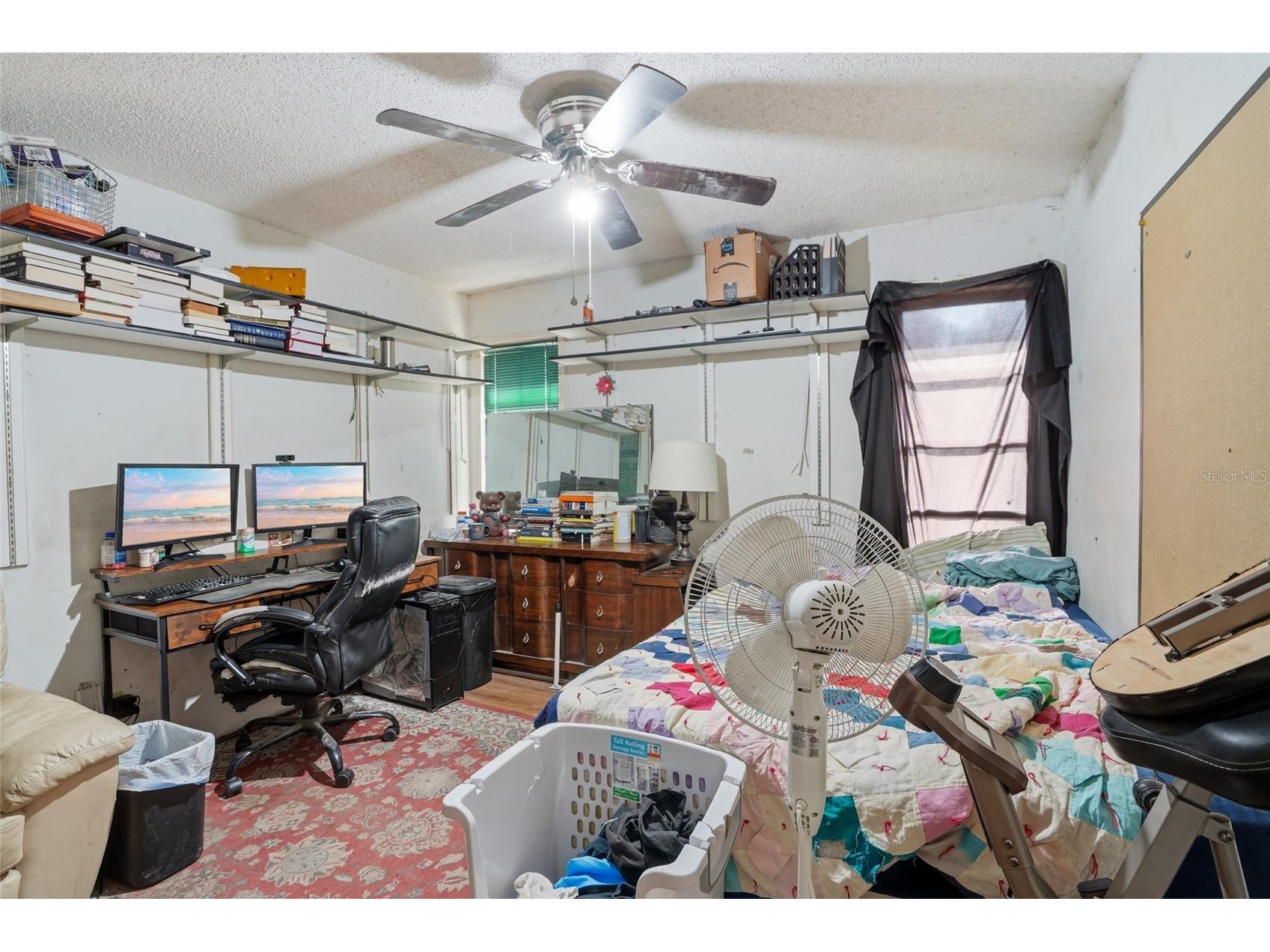 2347 Brookside Drive Lutz FL 33558 TB8521384 image10