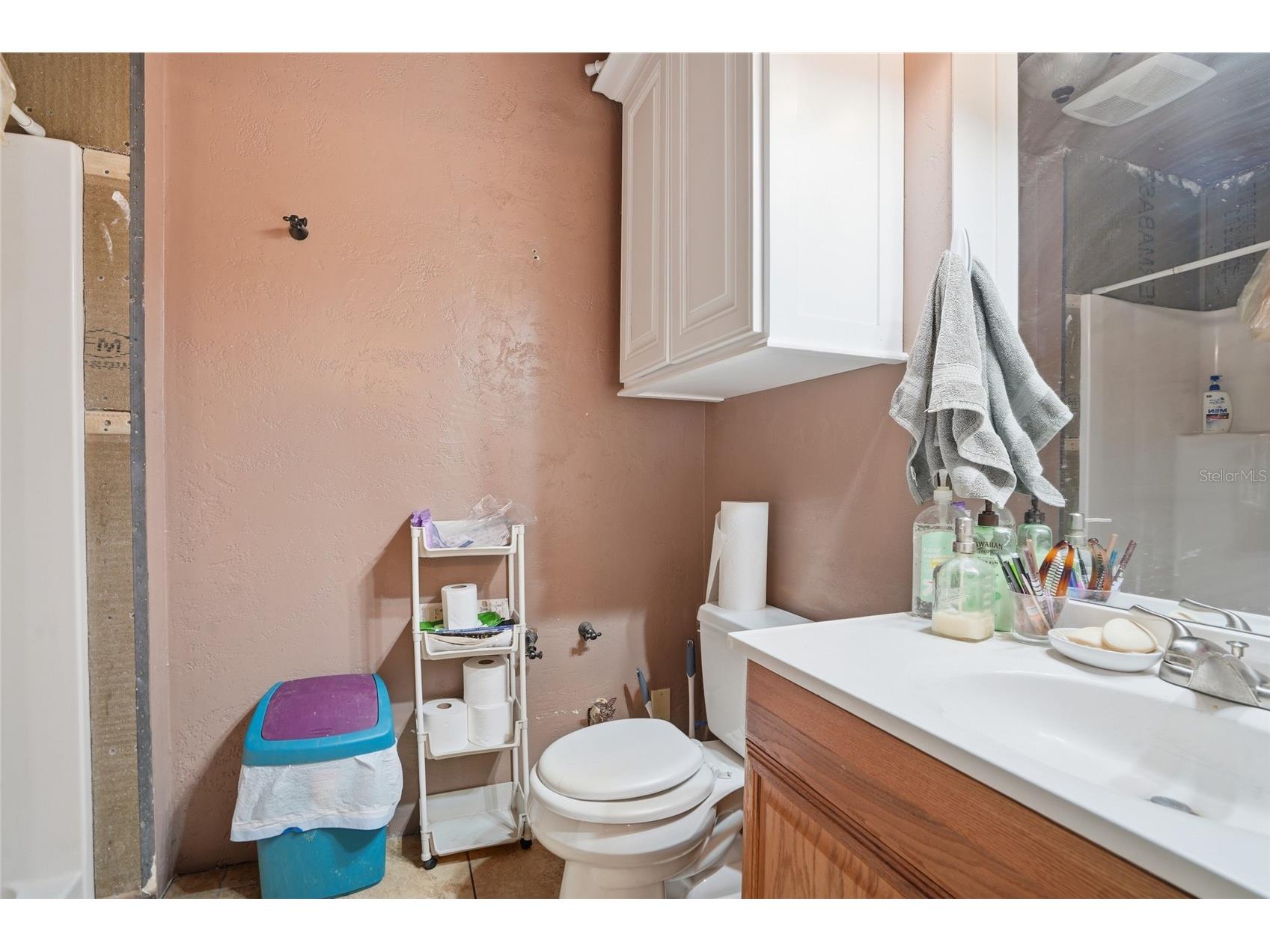 2347 Brookside Drive Lutz FL 33558 TB8521384 image19