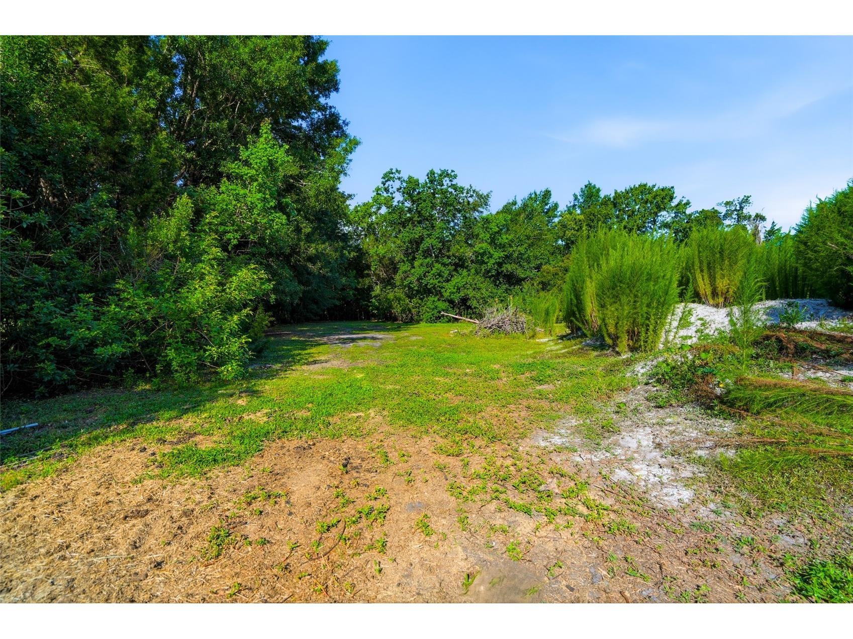 2347 Brookside Drive Lutz FL 33558 TB8521384 image20