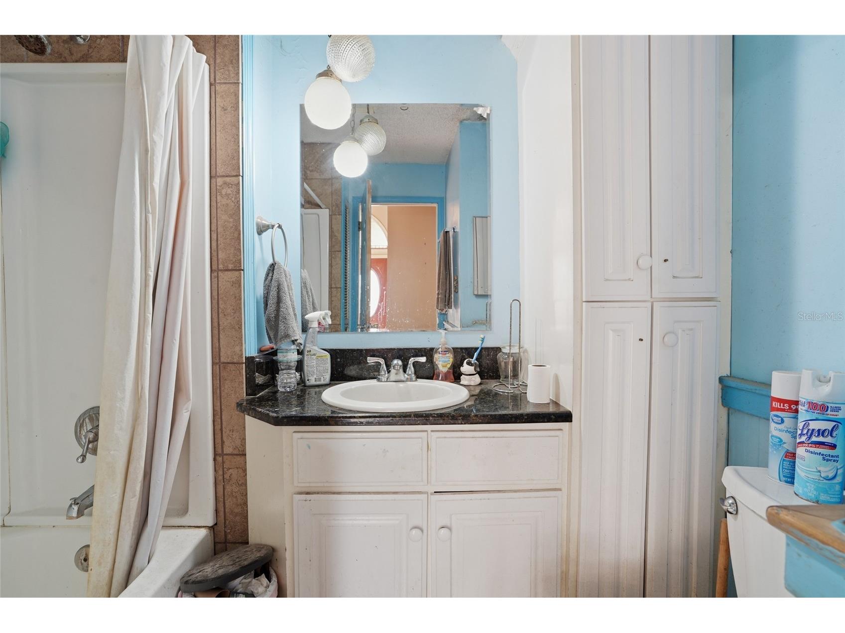 2347 Brookside Drive Lutz FL 33558 TB8521384 image6