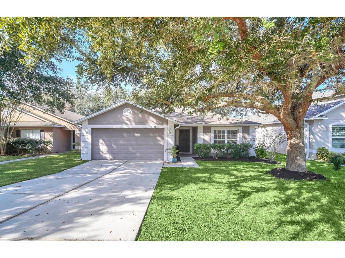 2347 Martins Run Tavares FL 32778 O6161283 image1