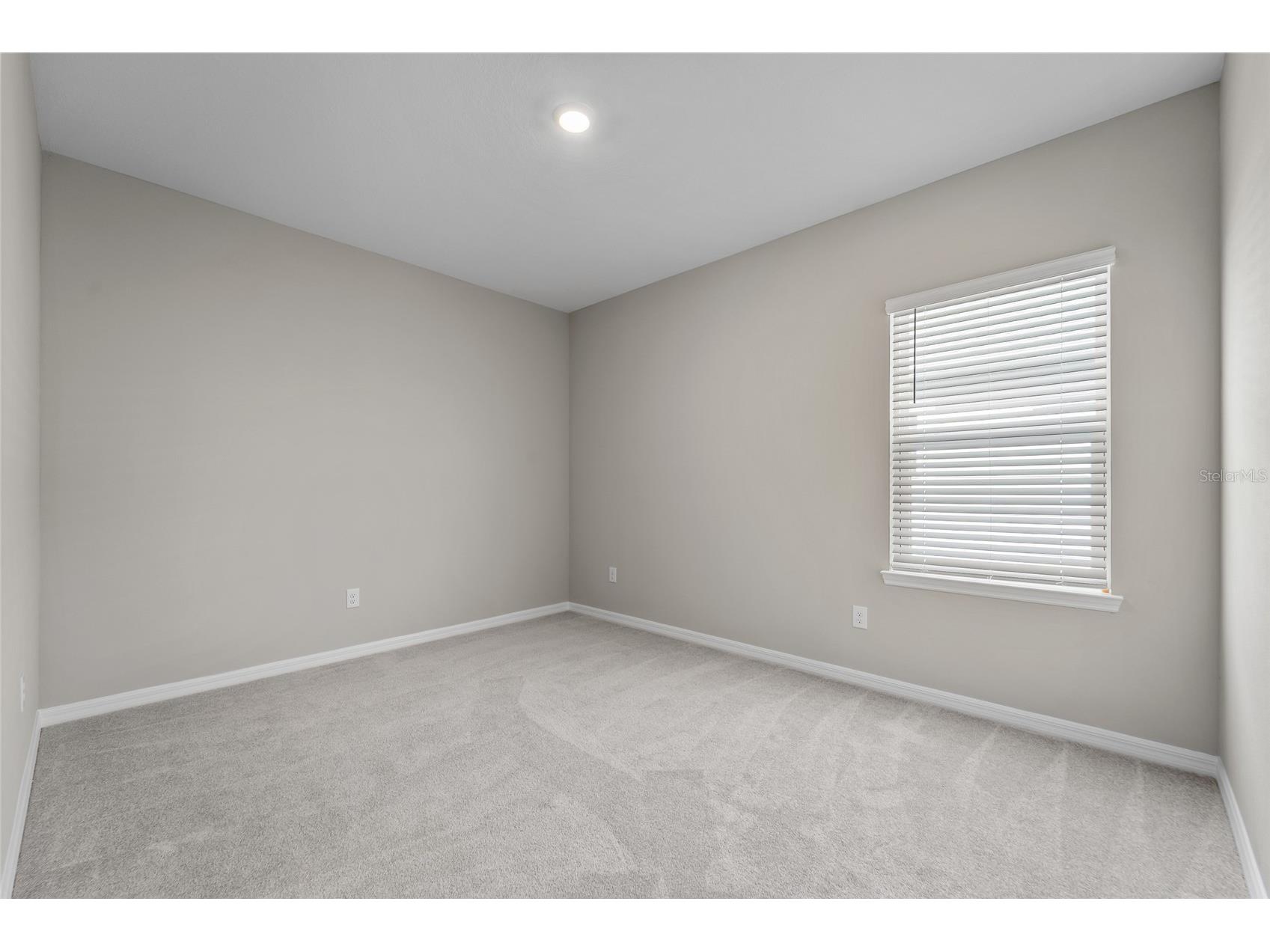 2347 Overfalls Place Wesley Chapel FL 33543 TB8471156 image27