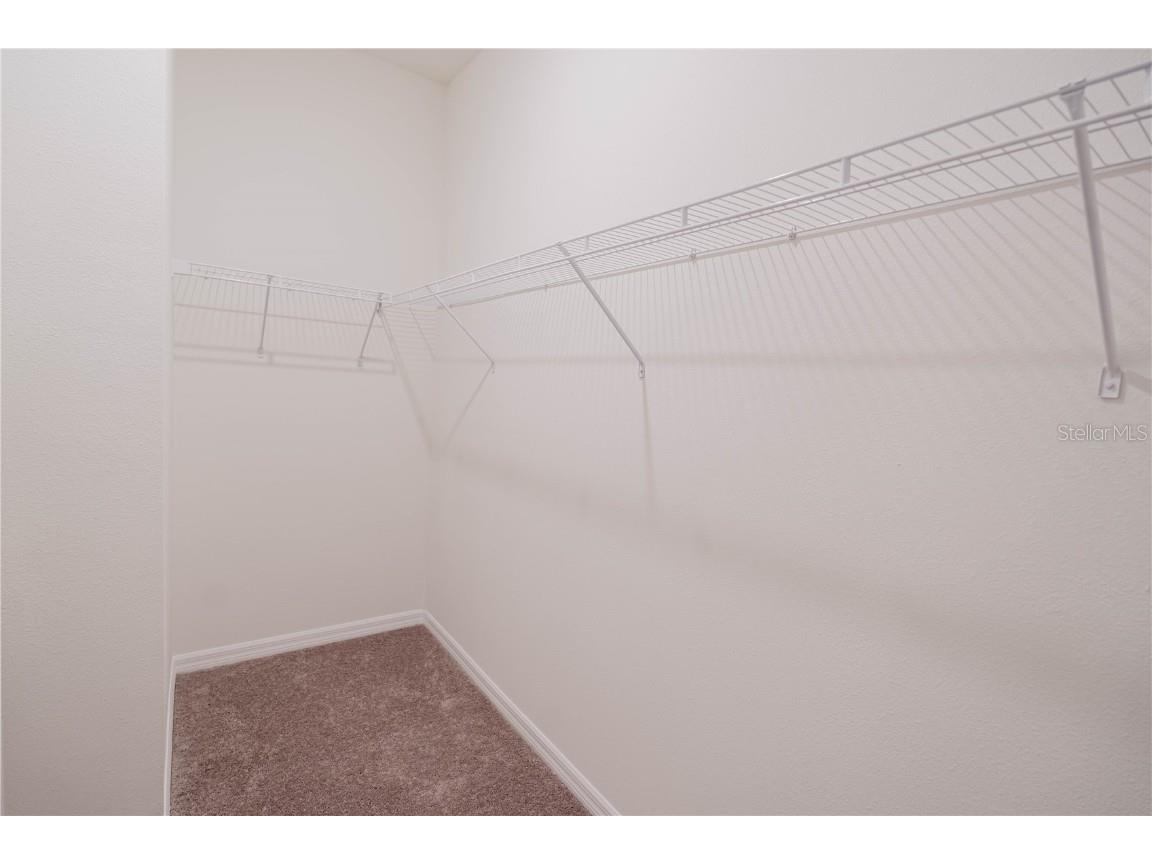 2347 Selenia Street Lake Alfred FL 33850 O6323902 image16