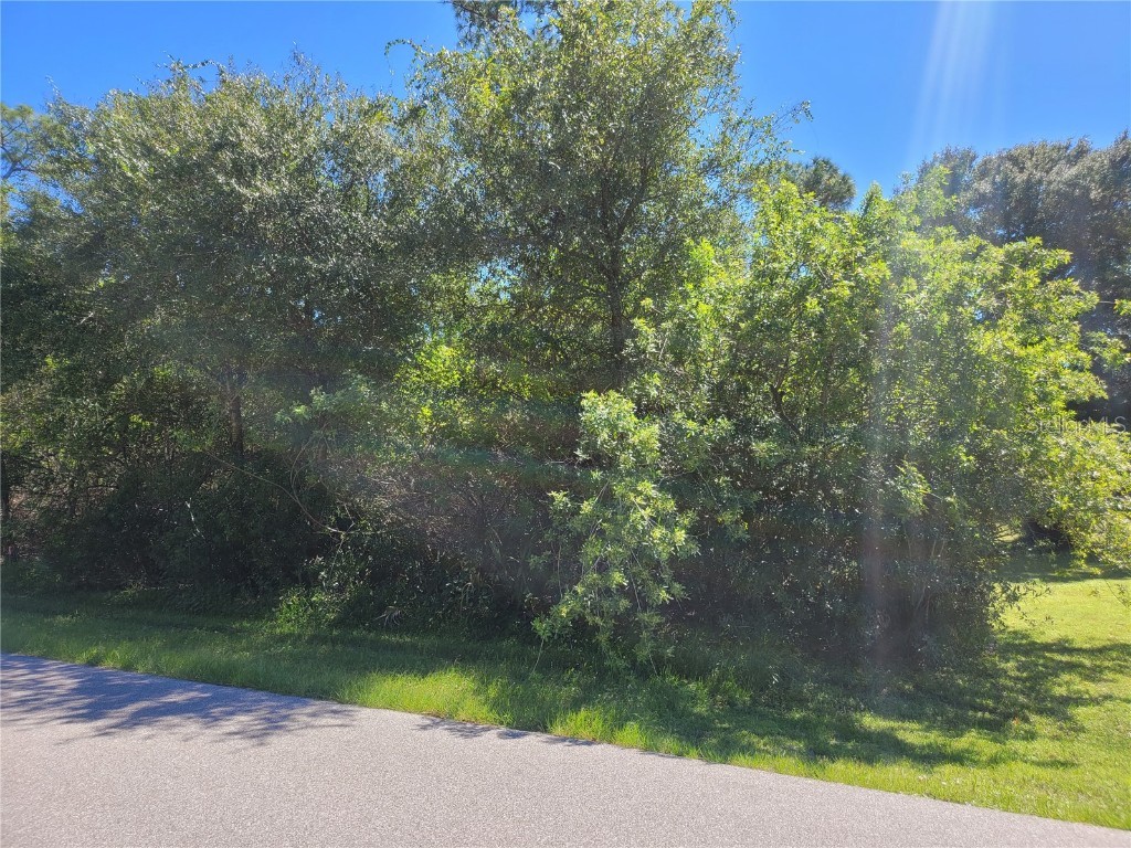 23471 Quasar Boulevard Port Charlotte FL 33980 O5974886 image1