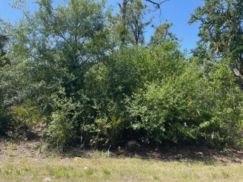 23477 Branch Avenue Port Charlotte FL 33980 C7510172 image6