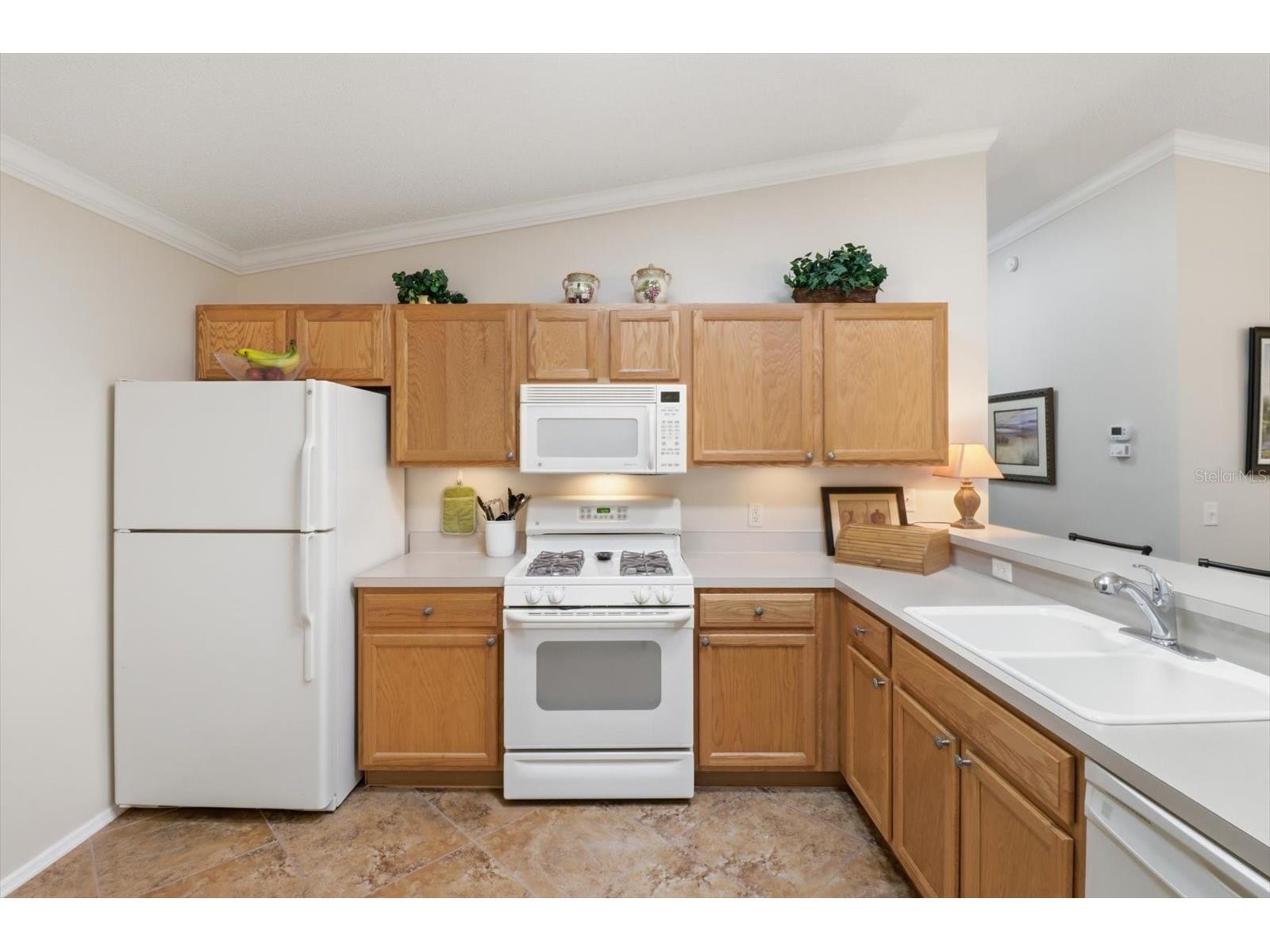 2348 Riley Road The Villages FL 32162 G5114267 image17