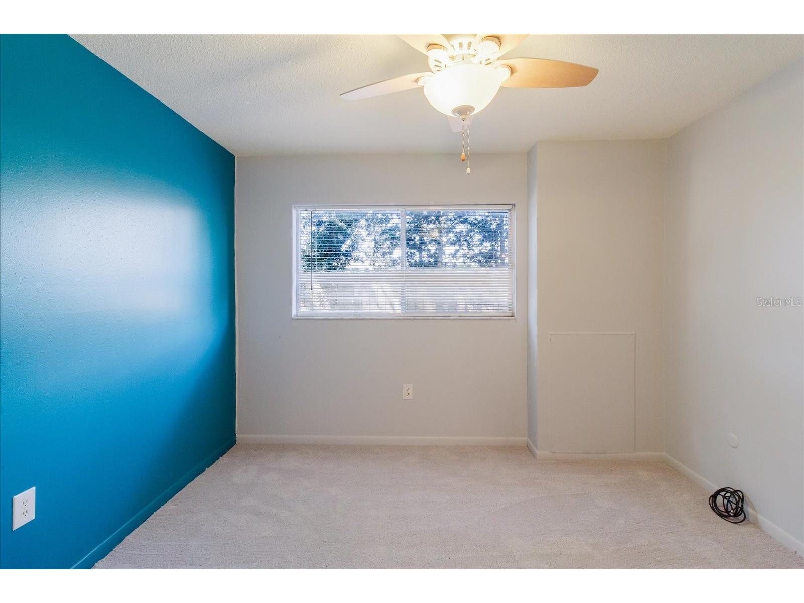 2348 Shelley Street #2 Clearwater FL 33765 TB8489934 image31