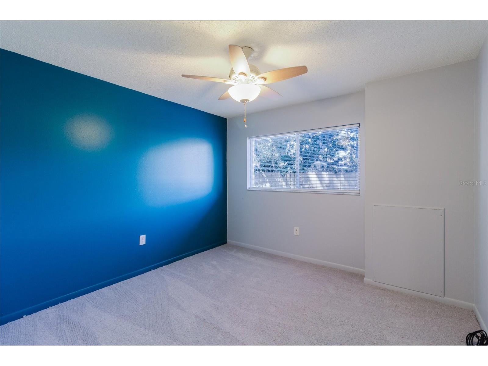 2348 Shelley Street #2 Clearwater FL 33765 TB8489934 image32