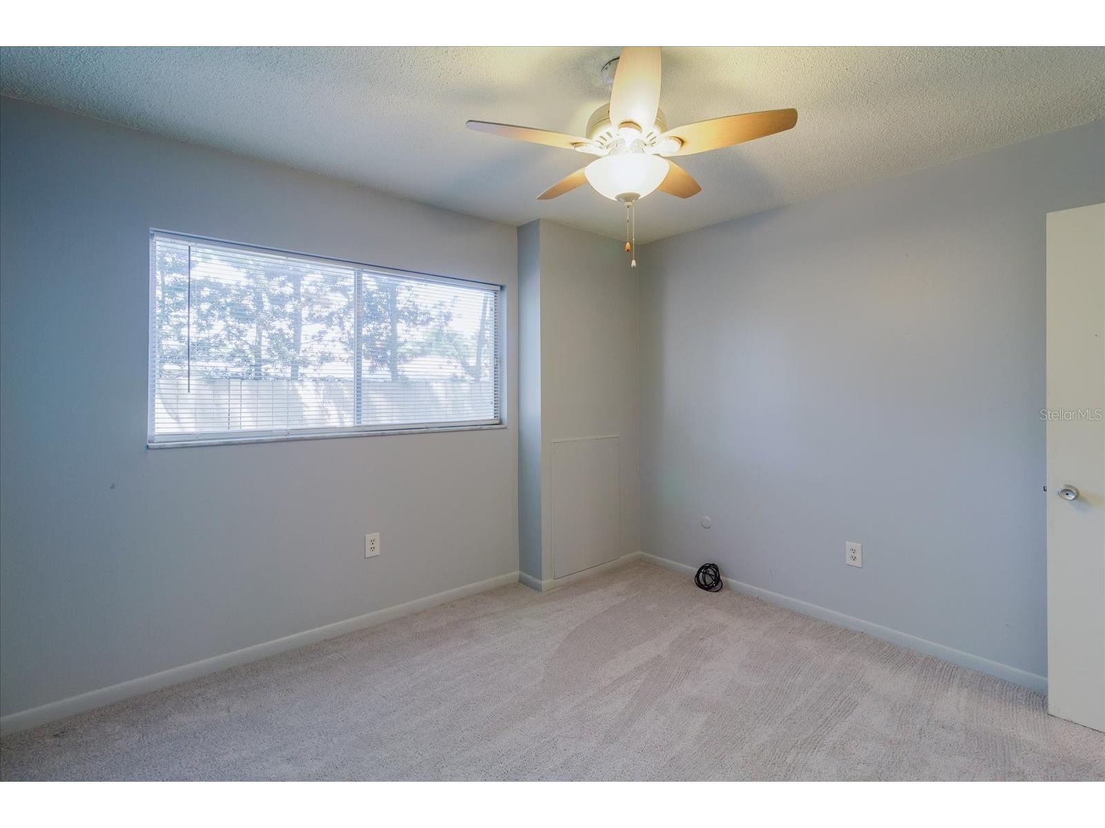 2348 Shelley Street #2 Clearwater FL 33765 TB8489934 image33