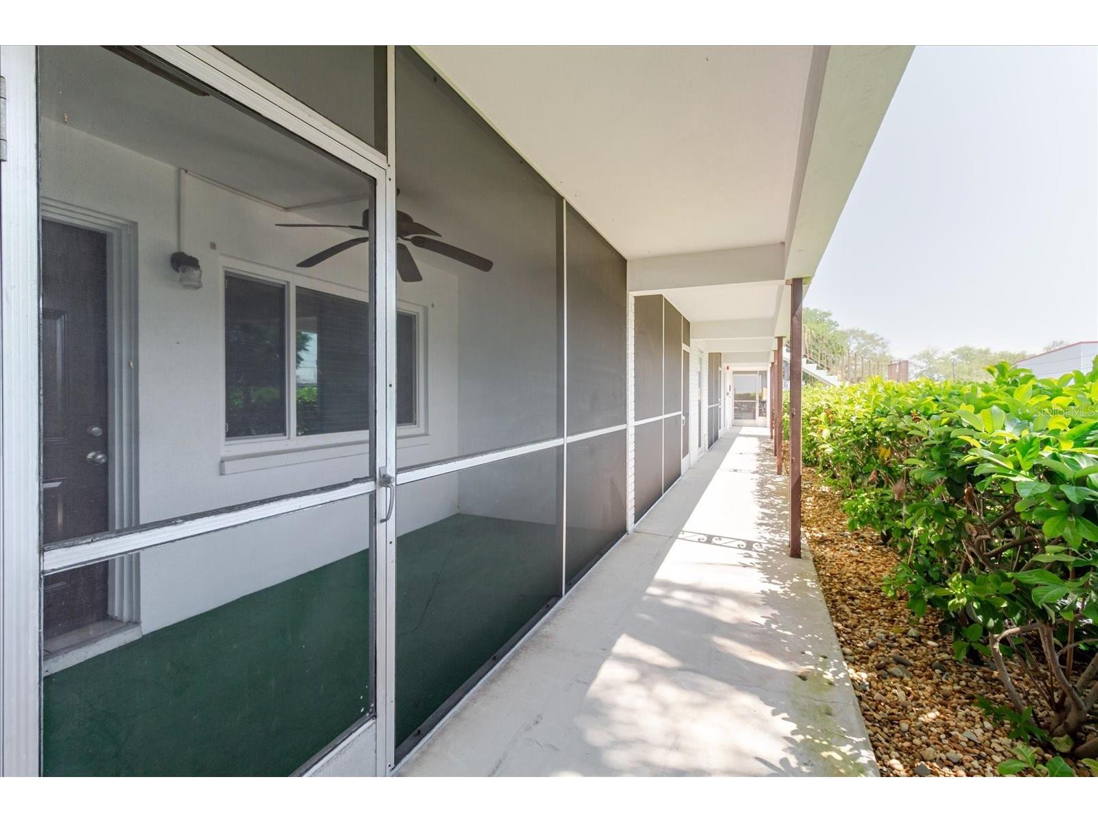 2348 Shelley Street #4 Clearwater FL 33765 TB8492234 image6