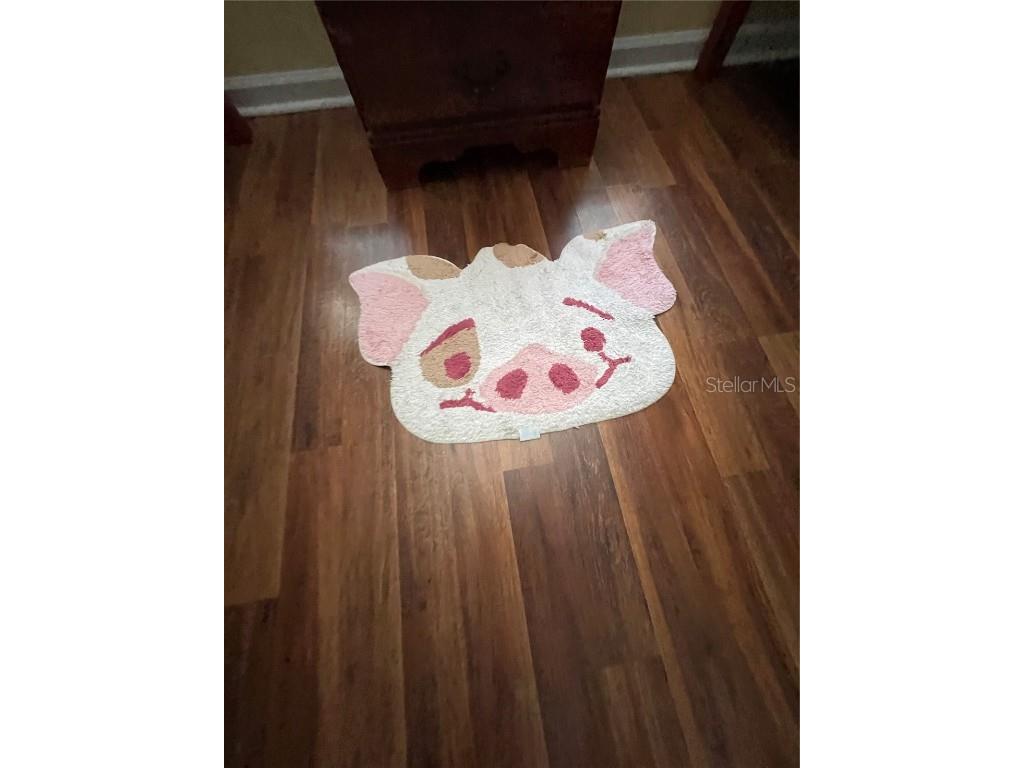 2348 Silver Palm Kissimmee FL 34747 O6302365 image64