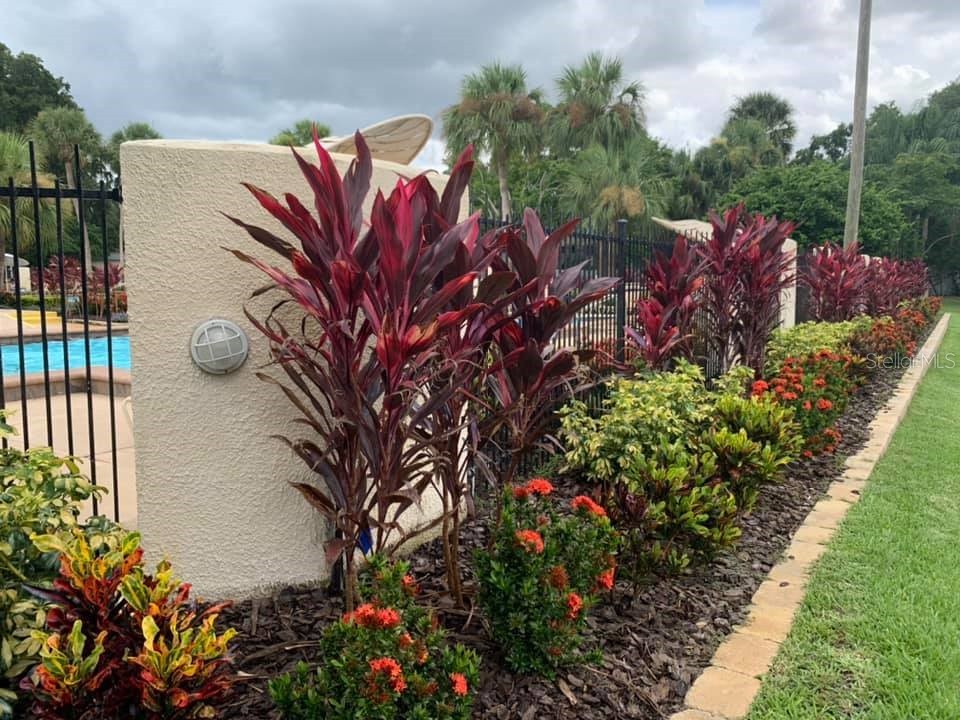 2349 Inagua Way Winter Park FL 32792 O6348118 image25