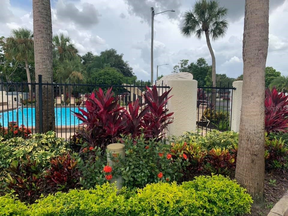 2349 Inagua Way Winter Park FL 32792 O6348118 image29