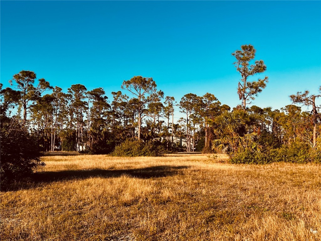 2349 NW 36th Avenue Cape Coral FL 33993 A4565263 image1