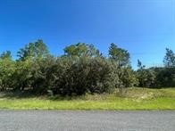 2349 W Oakland Land Citrus Springs FL 34434 O6254952 image1