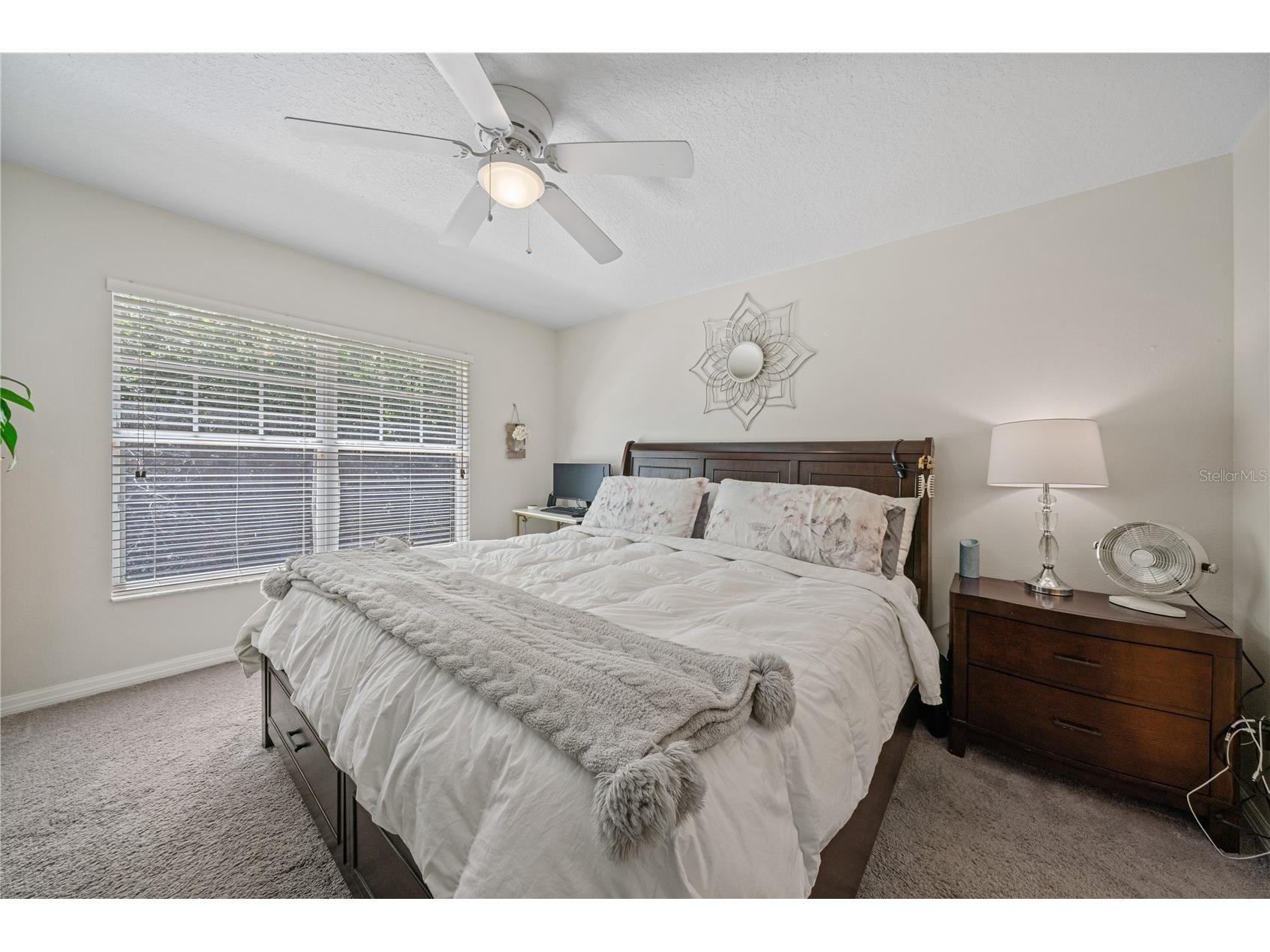 2349 Willimette Drive Wesley Chapel FL 33543 TB8494286 image20