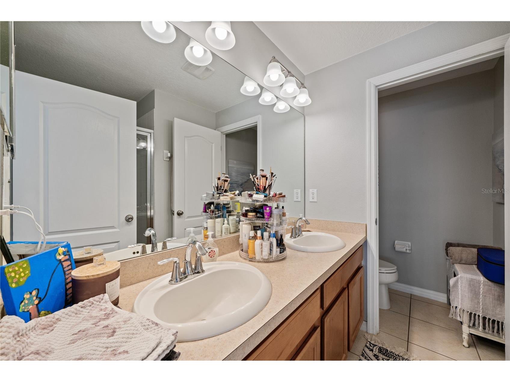 2349 Willimette Drive Wesley Chapel FL 33543 TB8494286 image21