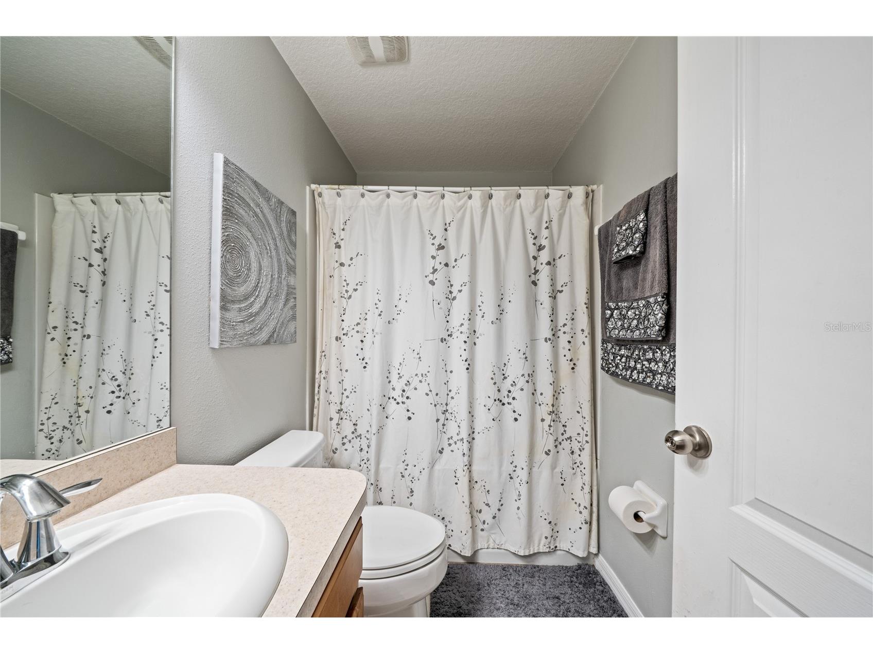 2349 Willimette Drive Wesley Chapel FL 33543 TB8494286 image23