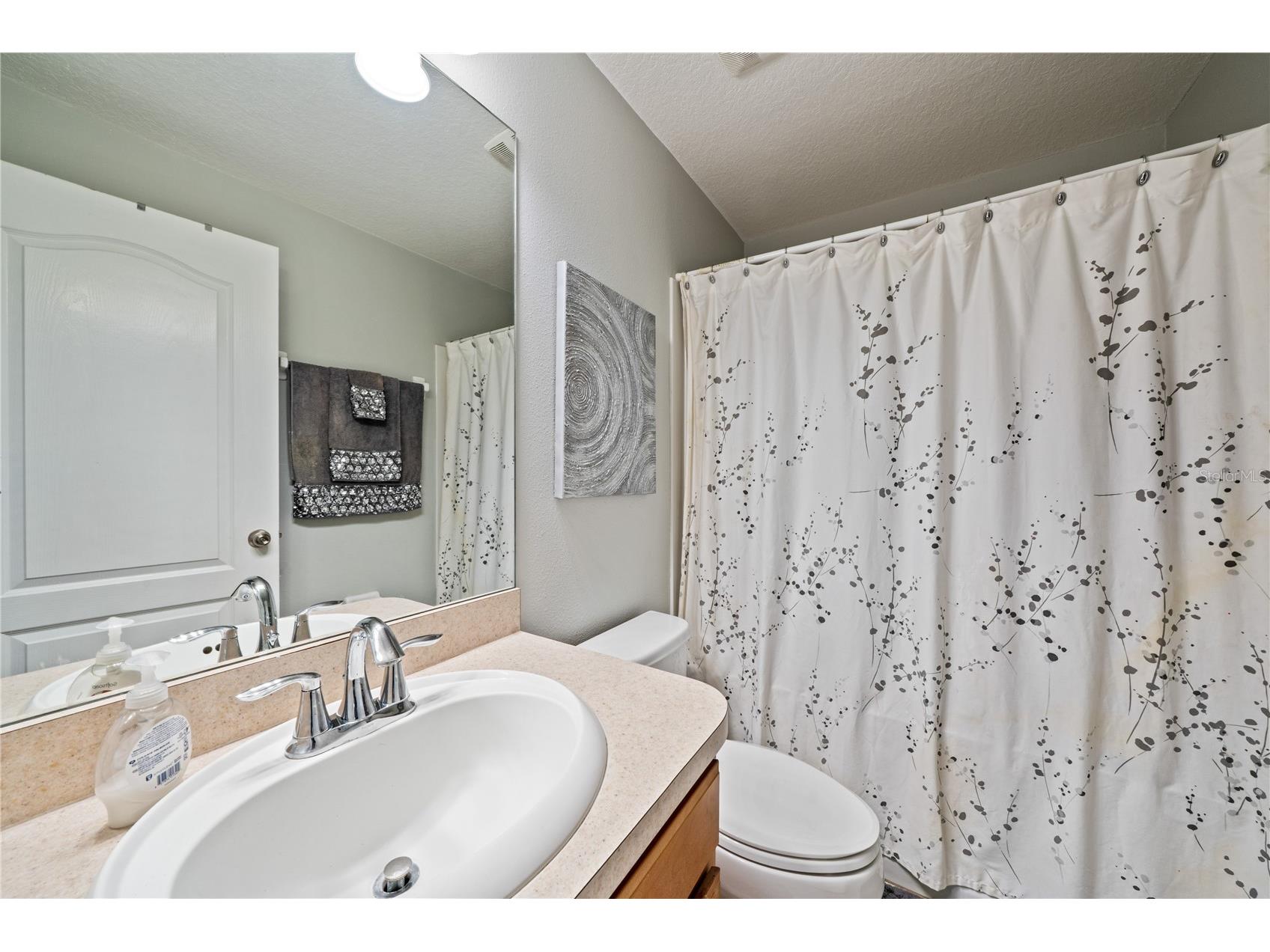 2349 Willimette Drive Wesley Chapel FL 33543 TB8494286 image24