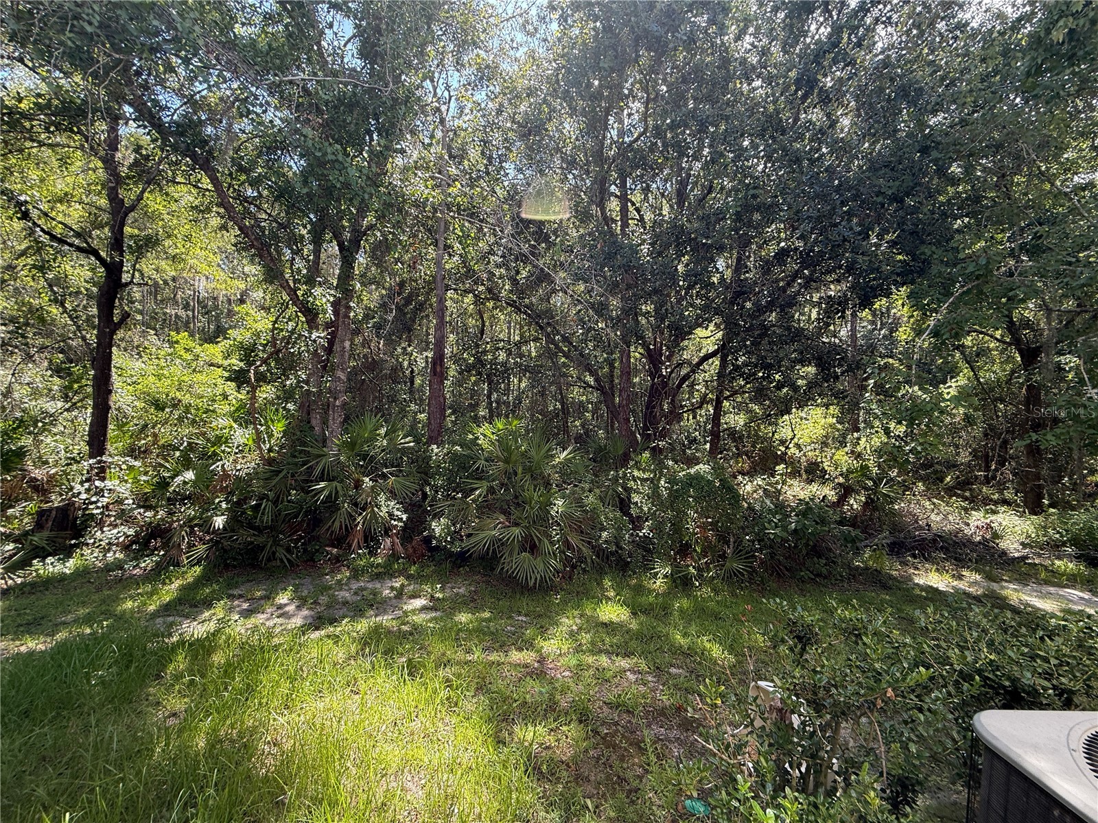 2349 Willimette Drive Wesley Chapel FL 33543 TB8494286 image31