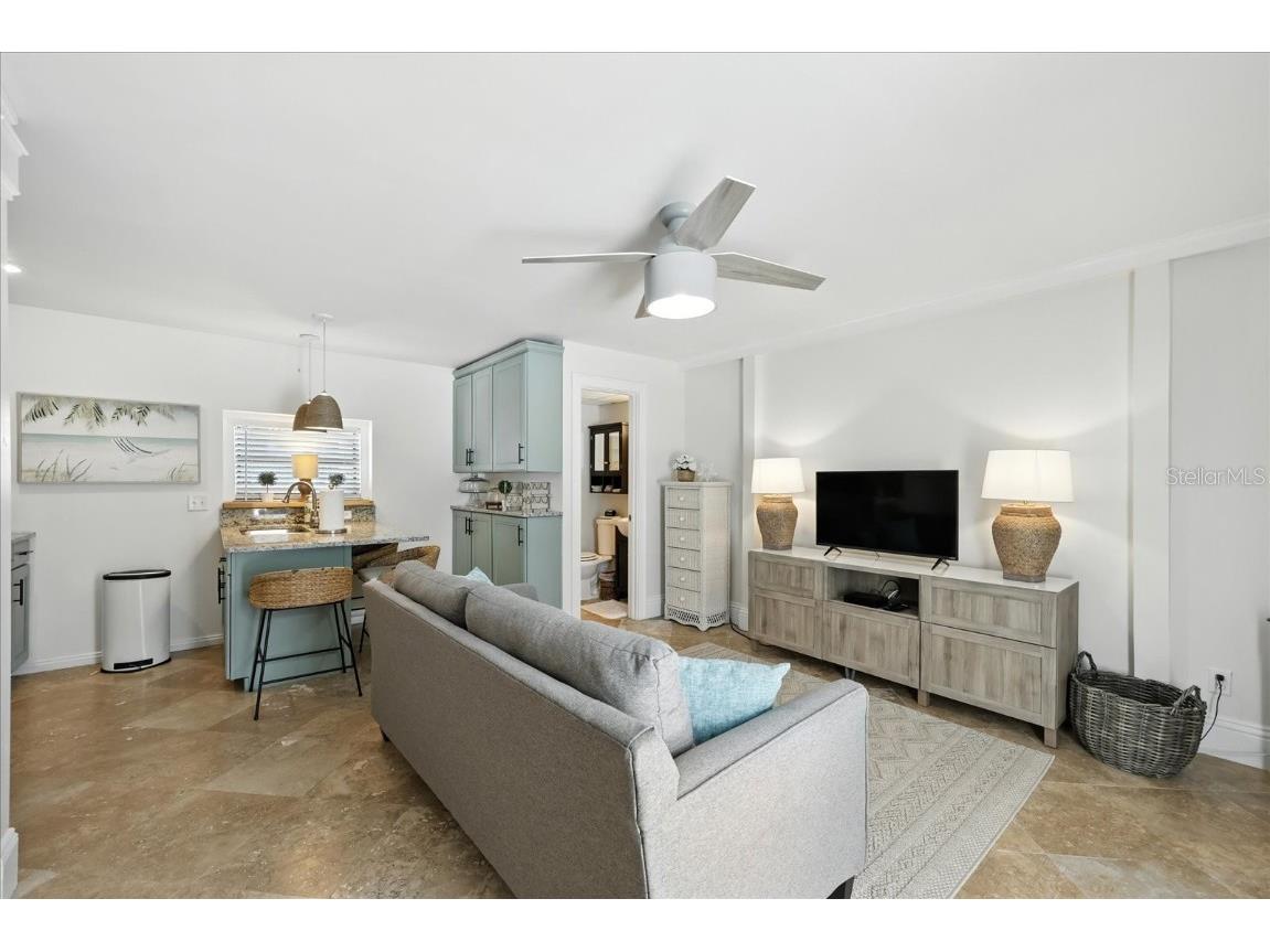 235 10th Avenue NE Saint Petersburg FL 33701 - TAMPA BAY TB8397032 image25