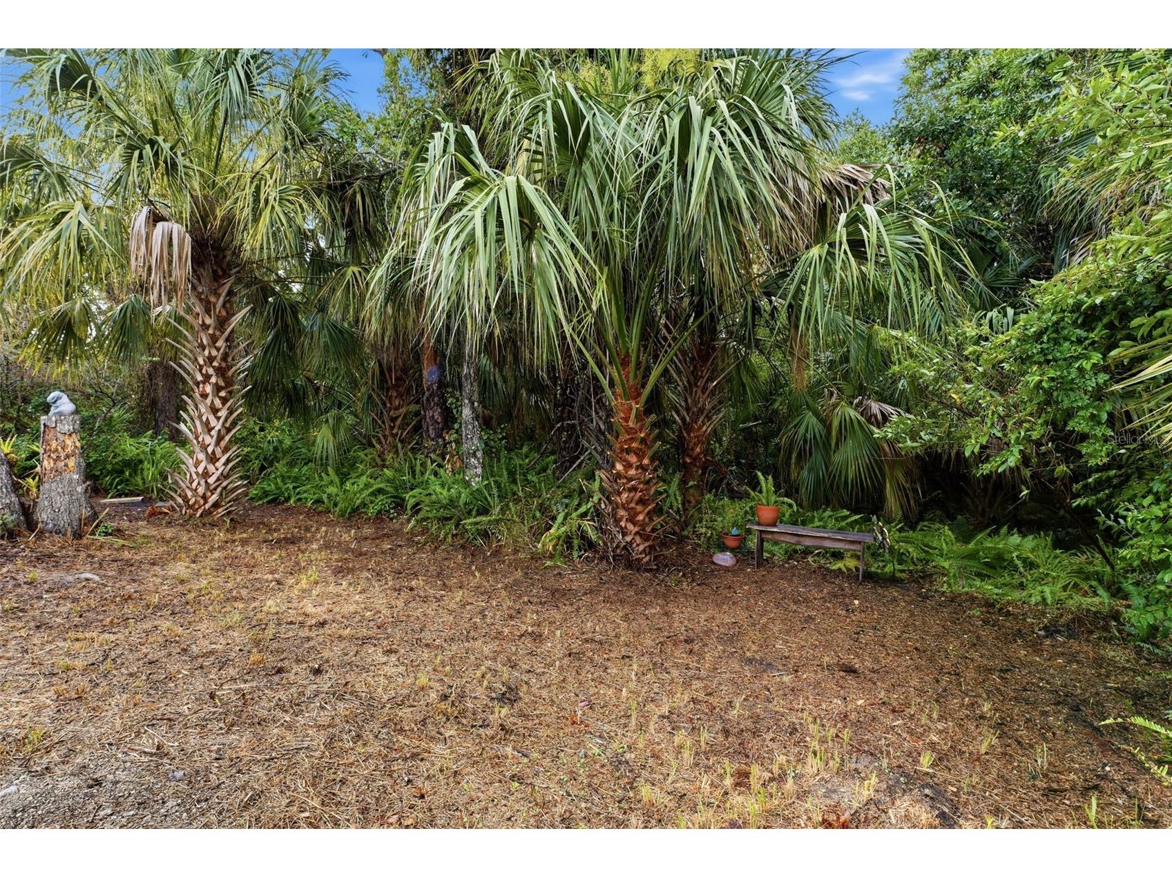 235 147th Street NE Bradenton FL 34212 A4692837 image59