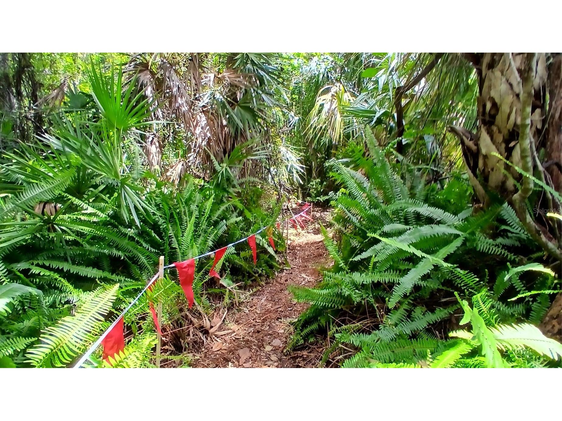 235 147th Street NE Bradenton FL 34212 A4692837 image62