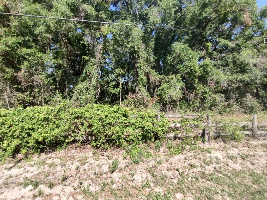 235 County Road 309 Satsuma FL 32189 FC309825 image1