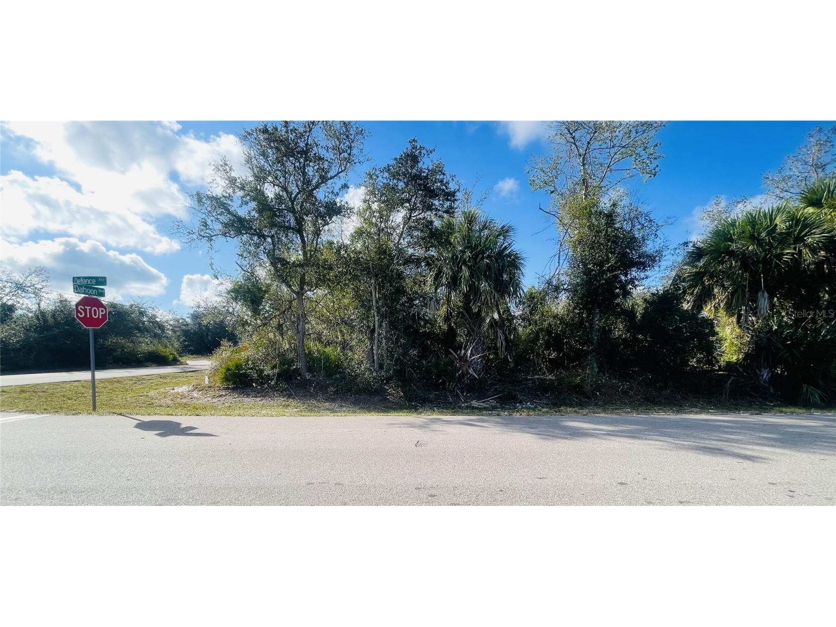 235 Dahoon Boulevard Punta Gorda FL 33982 C7505238 image3