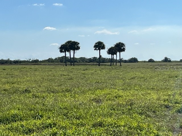 235 Driggers Road Lake Placid FL 33852 C7468769 image1