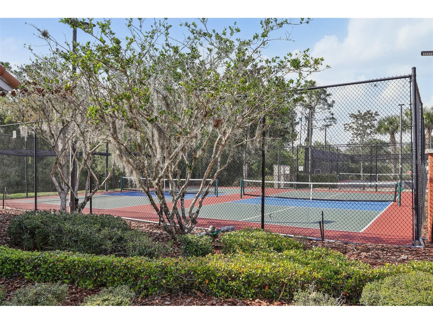 235 Indian Wells Avenue Kissimmee FL 34759 O6392454 image50