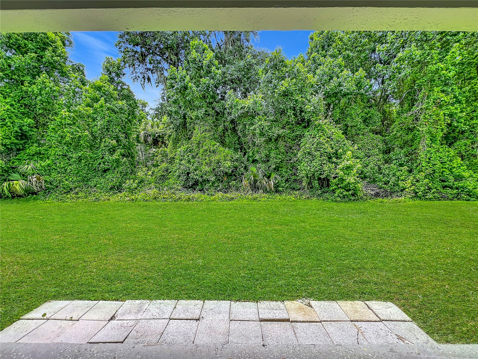 235 Magnolia Park Trail Sanford FL 32773 O6416639 image57
