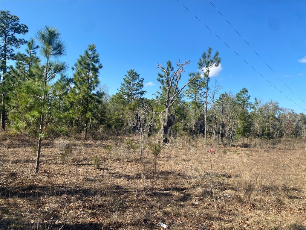 235 Michigan Drive Hawthorne FL 32640 GC528147 image1