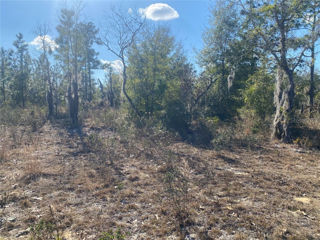 235 Michigan Drive Hawthorne FL 32640 GC528147 image2