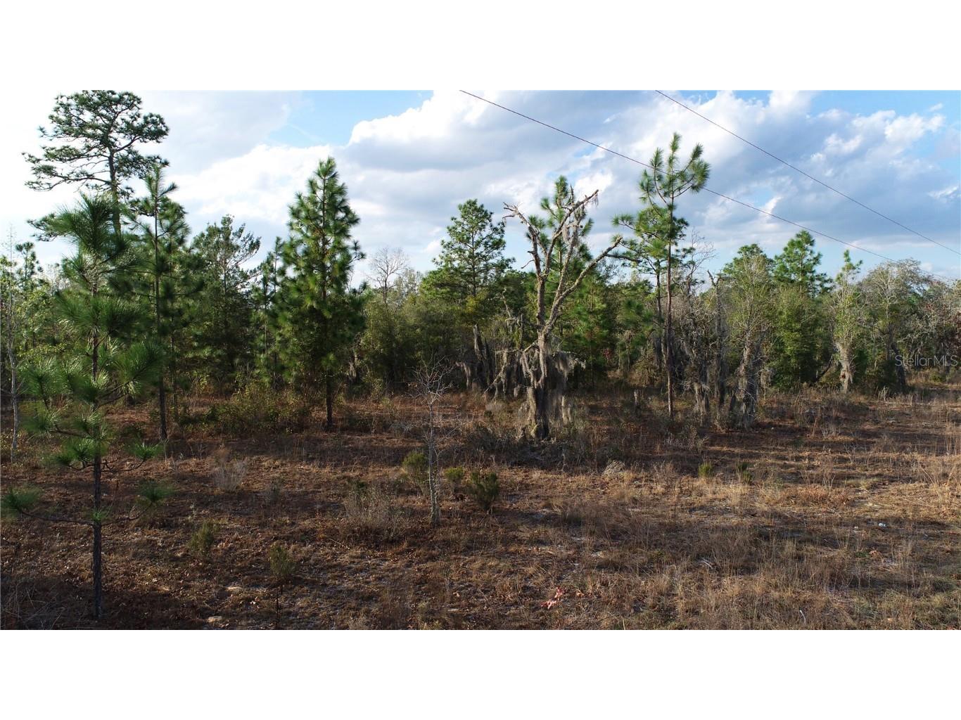 235 Michigan Drive Hawthorne FL 32640 GC528147 image3