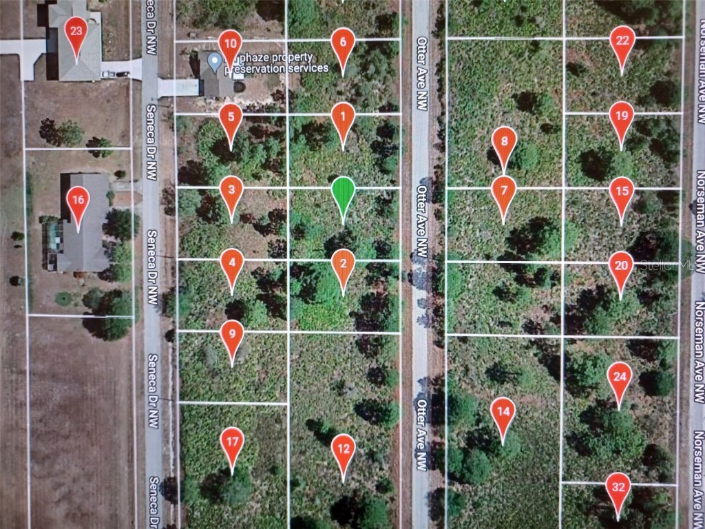 235 Otter Avenue NW Lake Placid FL 33852 O6161941 image1