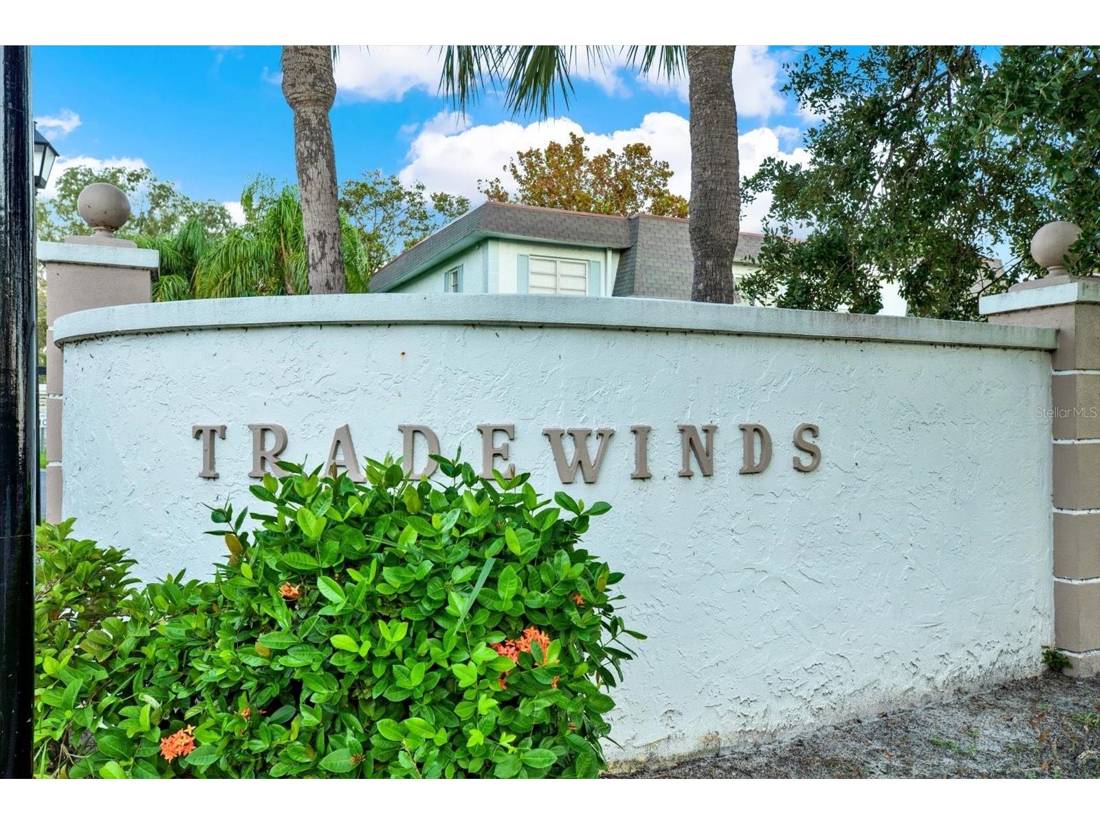 235 S Mcmullen Booth Road #45 Clearwater FL 33759 TB8463756 image21