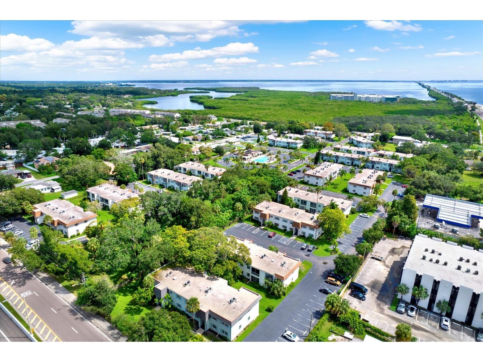 235 S Mcmullen Booth Road #45 Clearwater FL 33759 TB8463756 image26