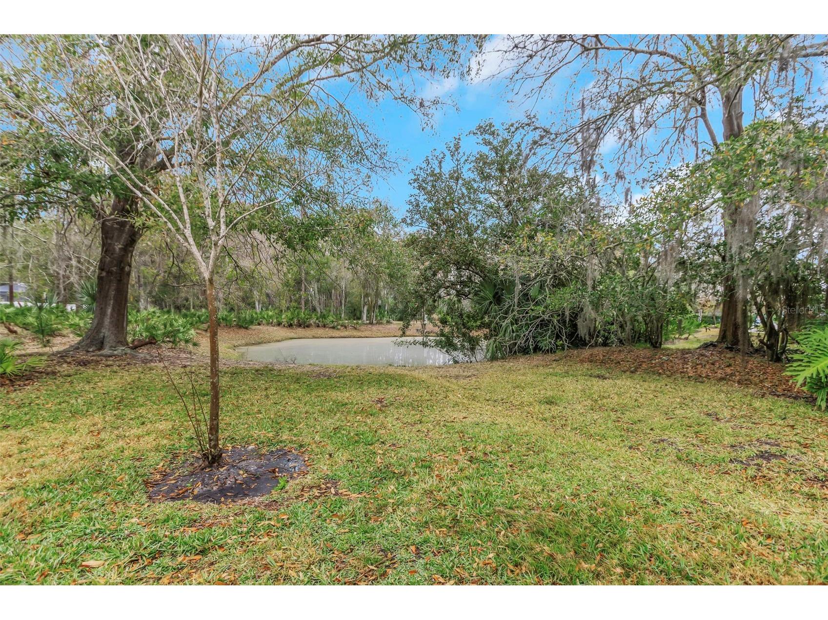 235 Woods Landing Trail #235 Oldsmar FL 34677 TB8474969 image35