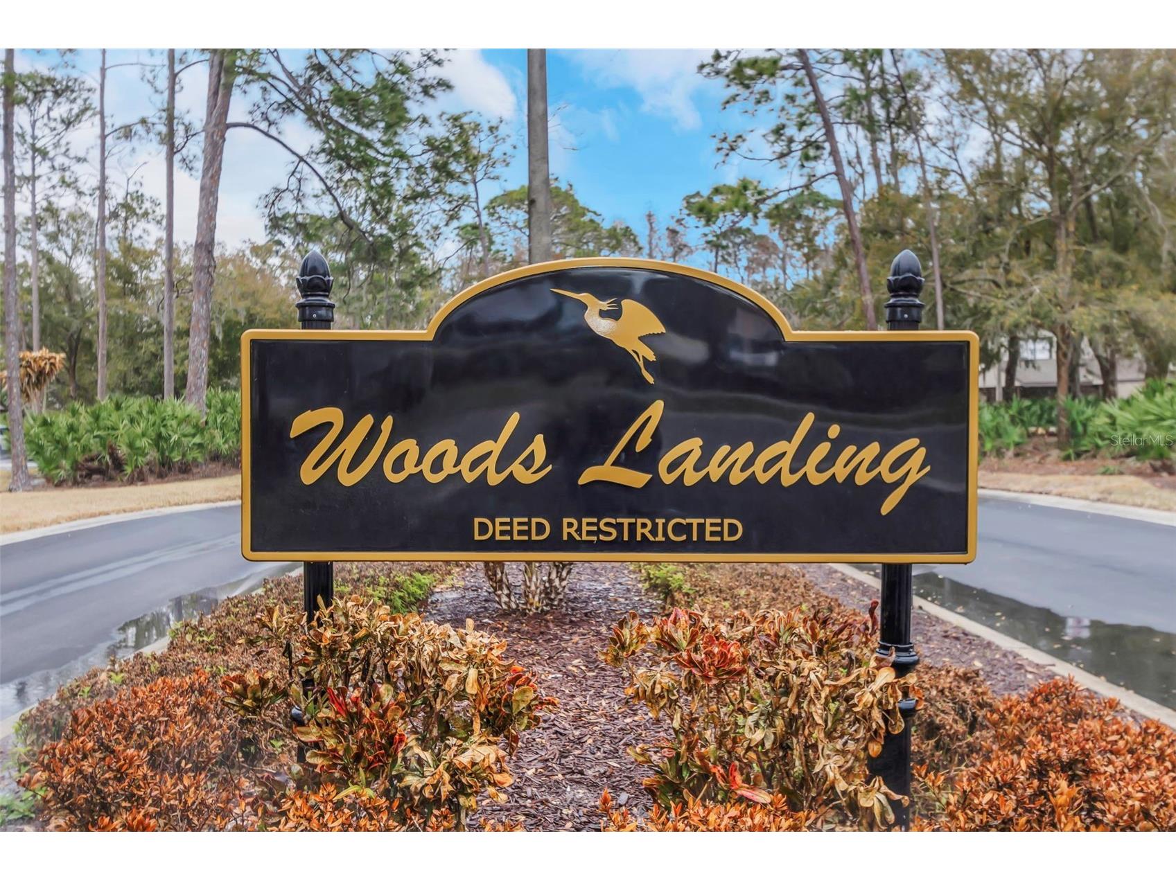 235 Woods Landing Trail #235 Oldsmar FL 34677 TB8474969 image43