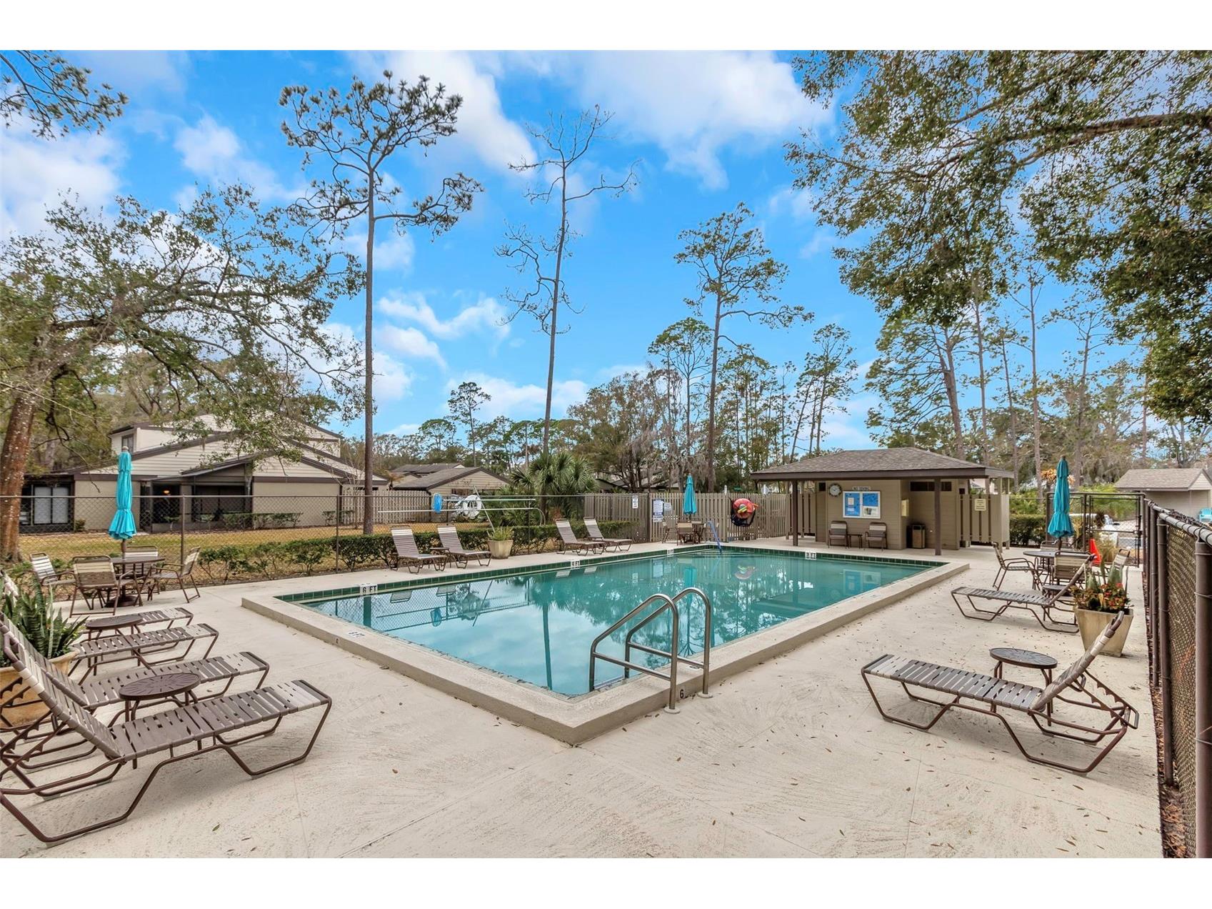 235 Woods Landing Trail #235 Oldsmar FL 34677 TB8474969 image45