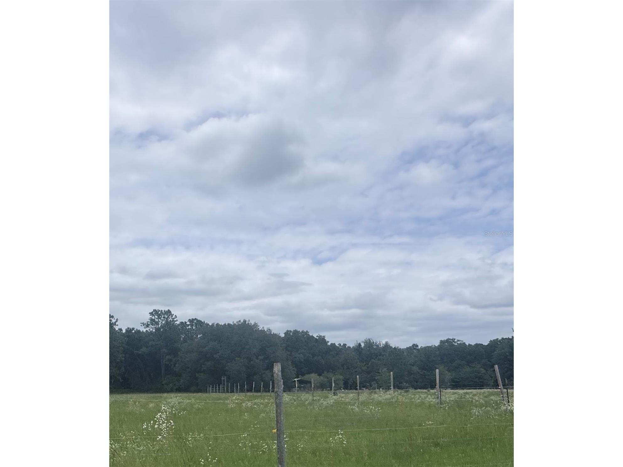2350 NW 13th Avenue Lake Panasoffkee FL 33538 J1002861 image1