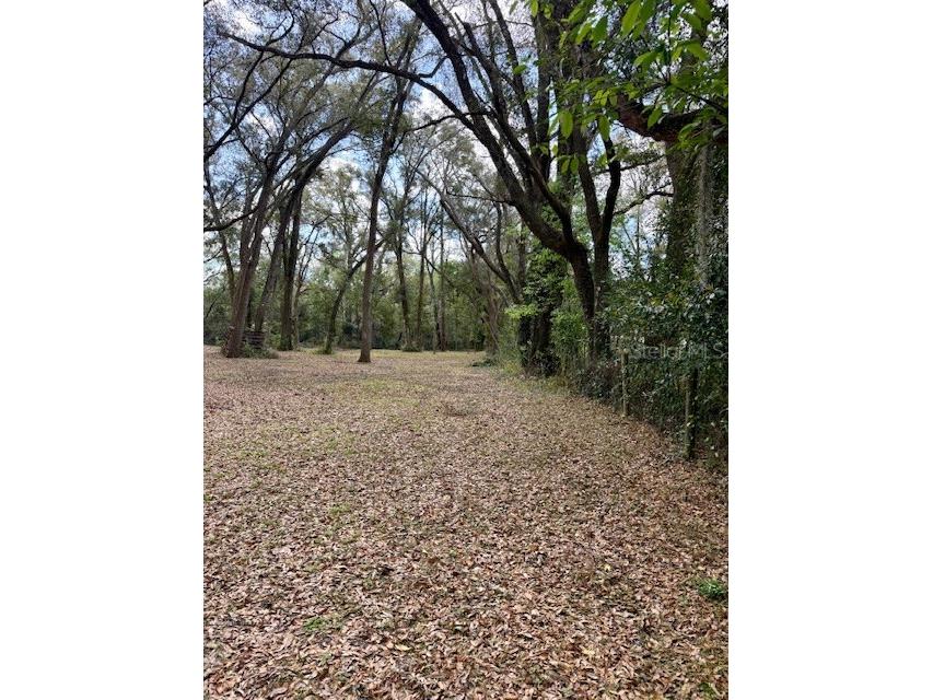 2350 SE 41 Highway Morriston FL 32668 OM720216 image46