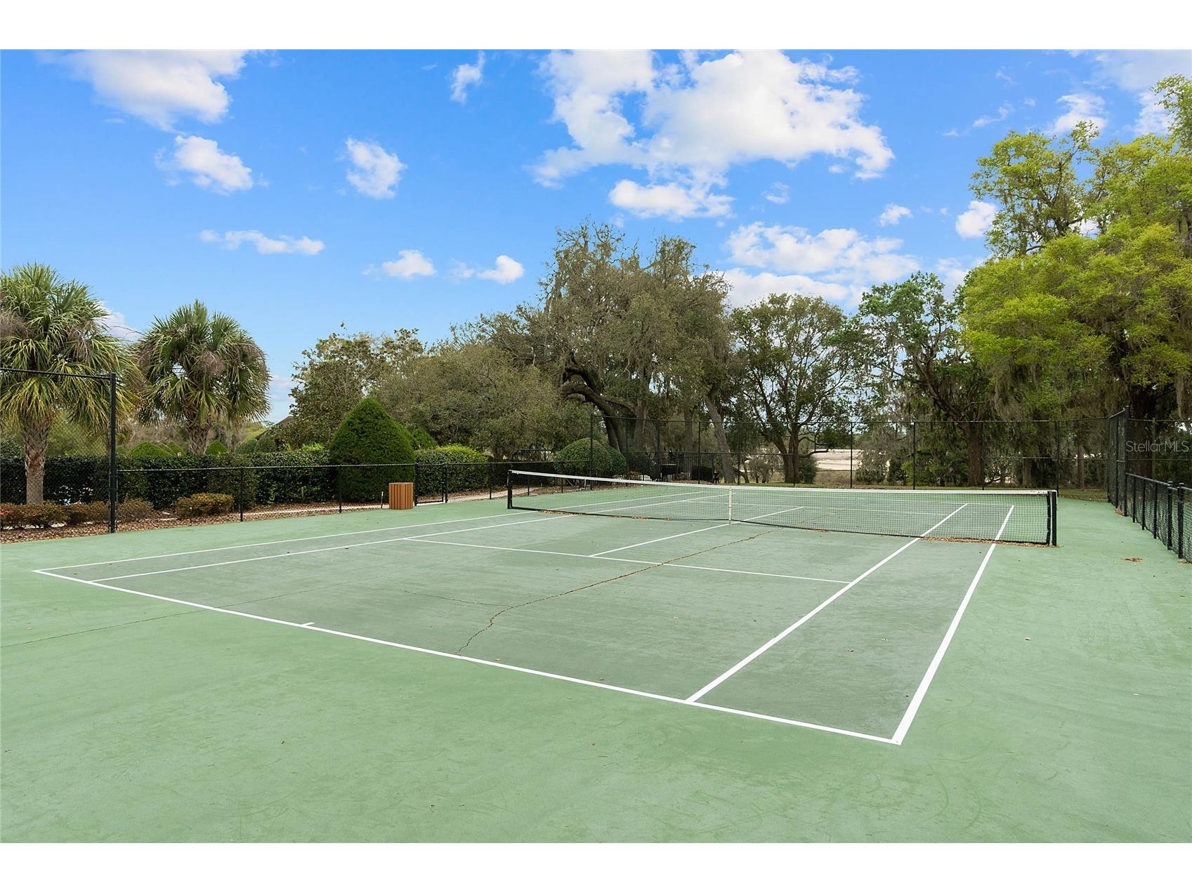 23503 Valderama Lane Sorrento FL 32776 O6410340 image53