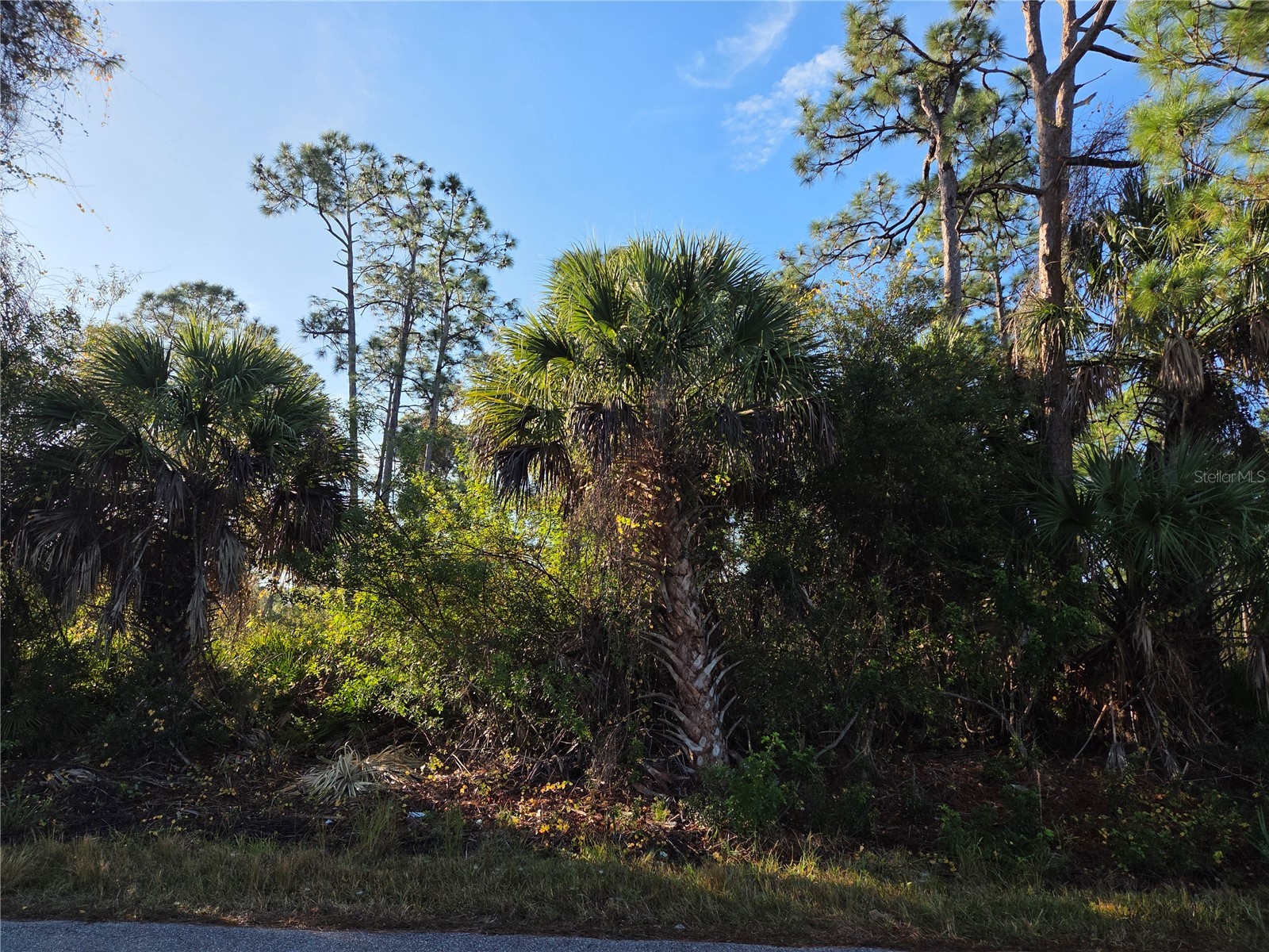 23507 Spencer Court Punta Gorda FL 33980 C7520011 image1