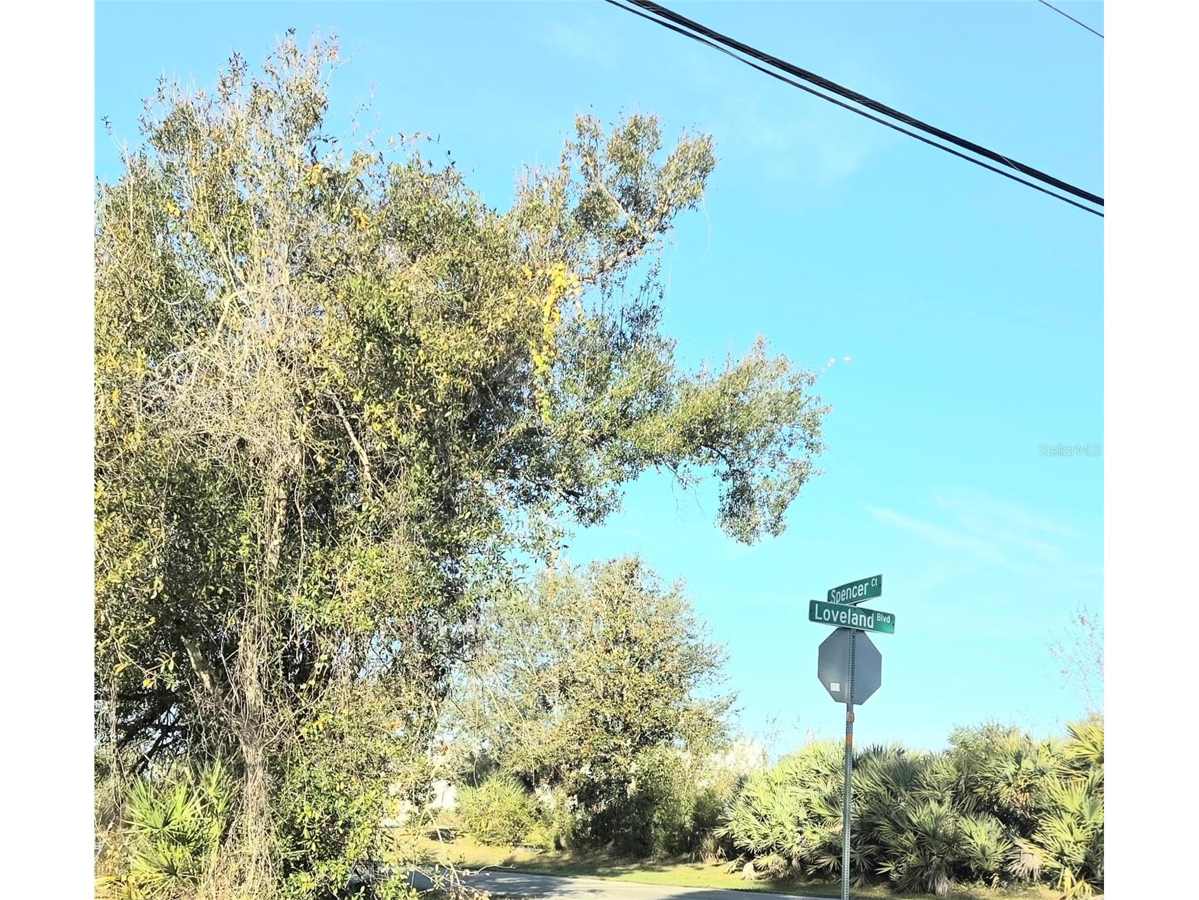 23507 Spencer Court Punta Gorda FL 33980 C7520011 image2